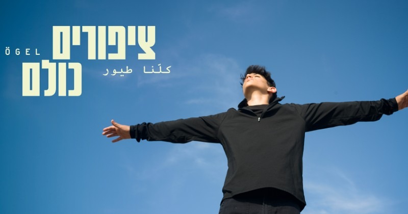 ציפורים כולם - אירוע מיוחד ל 50 הצגות !